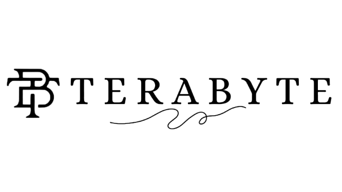 Terabyte Logo - Web & App Development Company